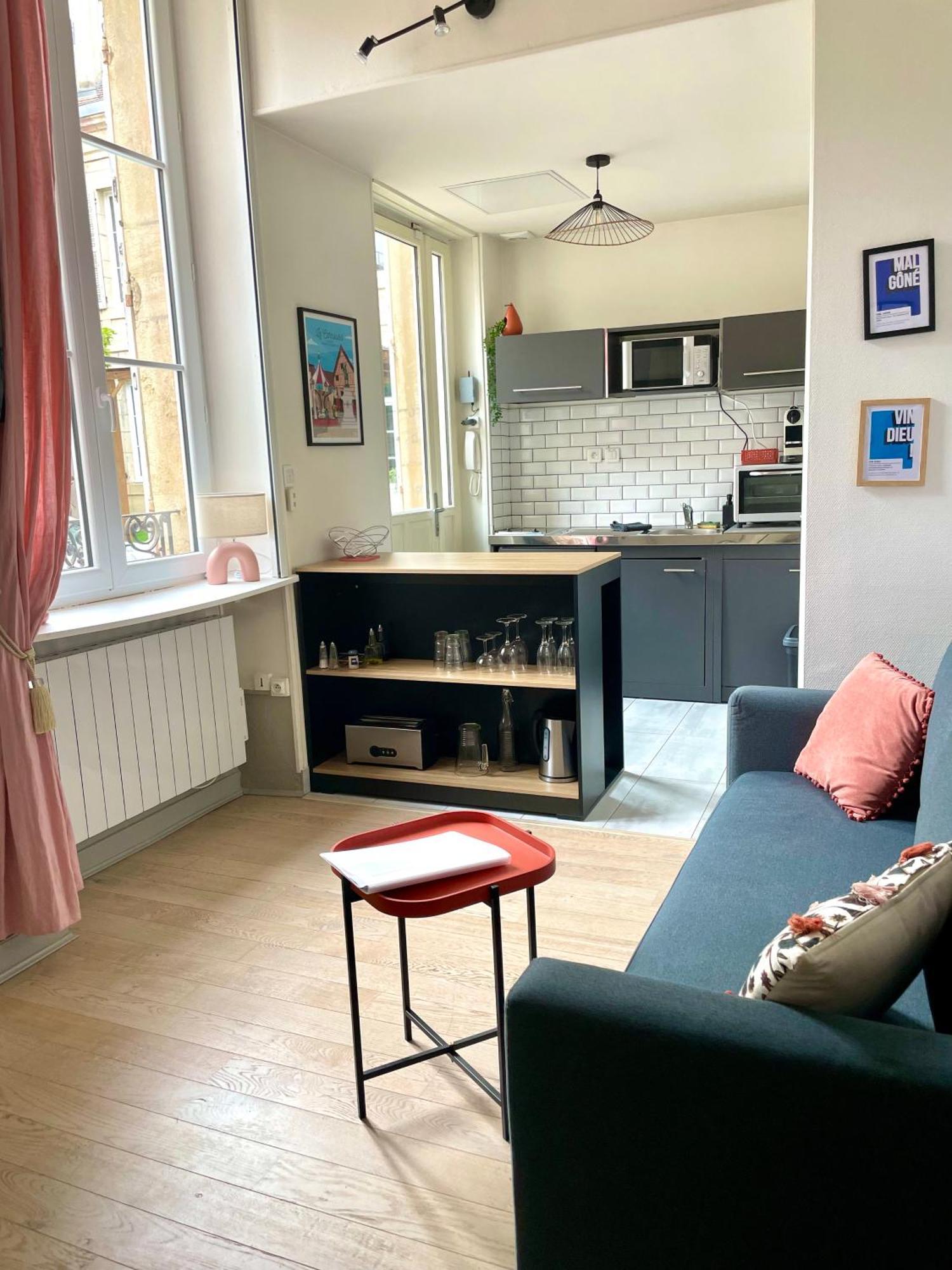 Cosy Le Bareuzai Apartment Dijon